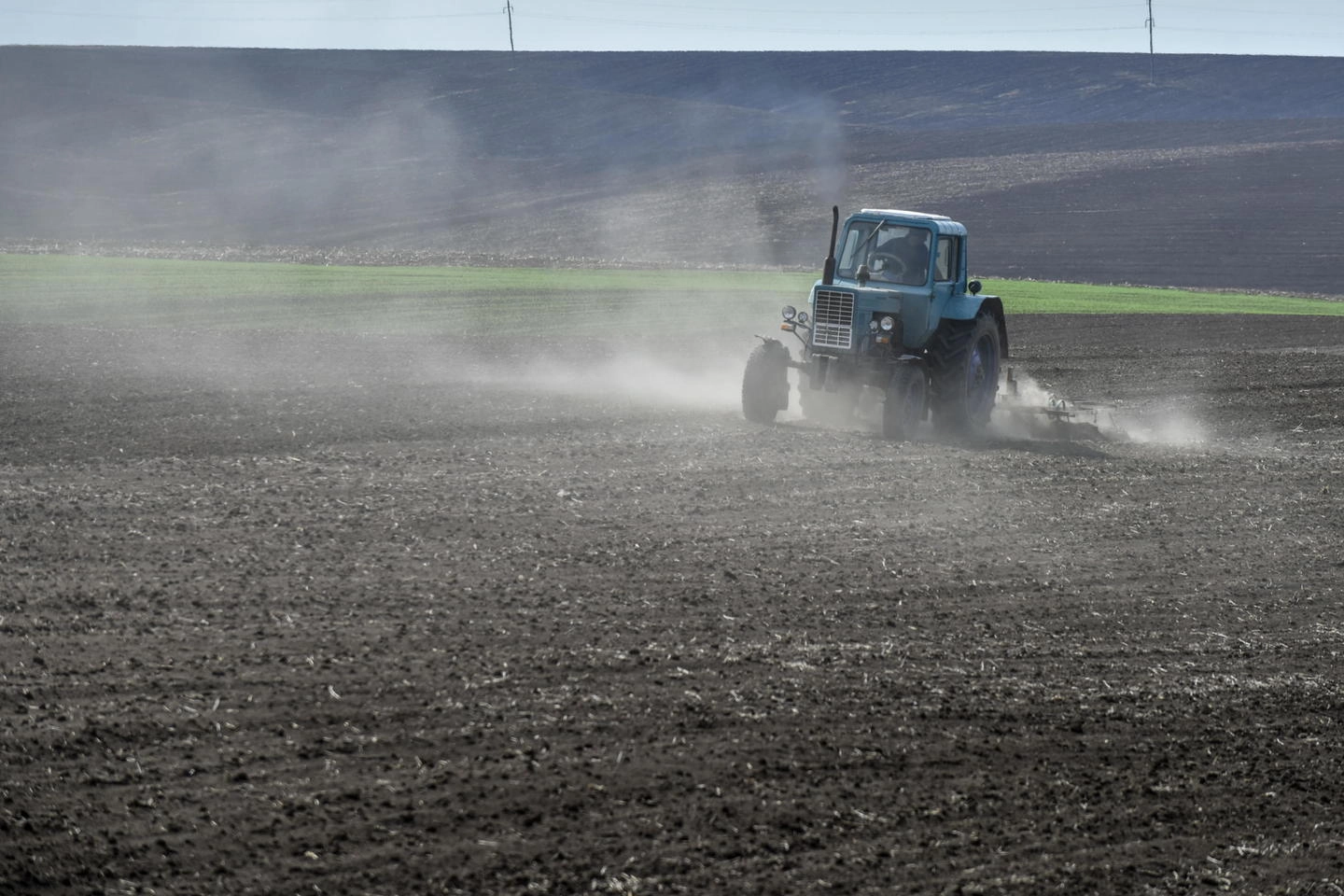 Un campo di grano in Ucraina