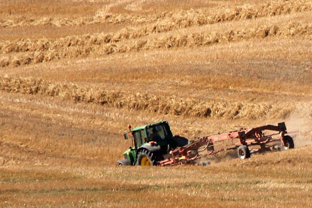 NEI CAMPI Un agricoltore al lavoro; sotto, il ministro per le Politiche agricole Maurizio Martina