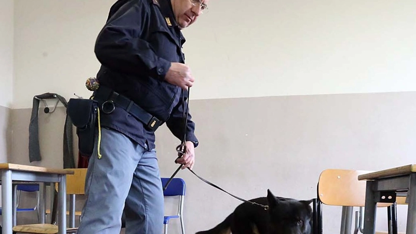 Un poliziotto col cane antidroga