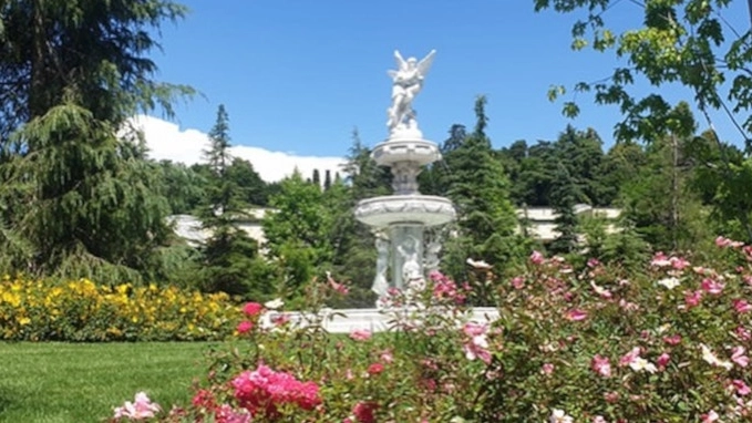 Il bosco urbano al Vedù