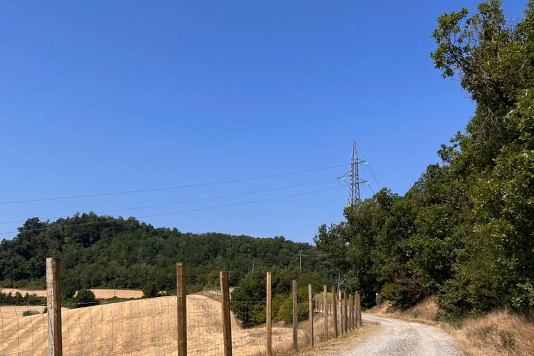 Una tratto della recinzione anti-cinghiali tra Lombardia e Piemonte
