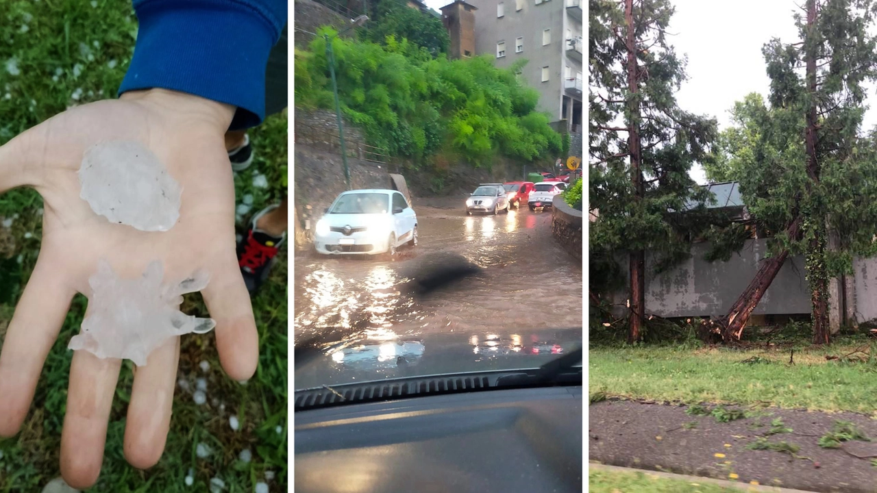 Fiumi d'acqua sulle strade, enormi chicchi di grandine e alberi caduti nel Tradate (Instagram)