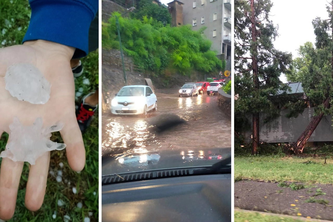 Fiumi d'acqua sulle strade, enormi chicchi di grandine e alberi caduti nel Tradate (Instagram)