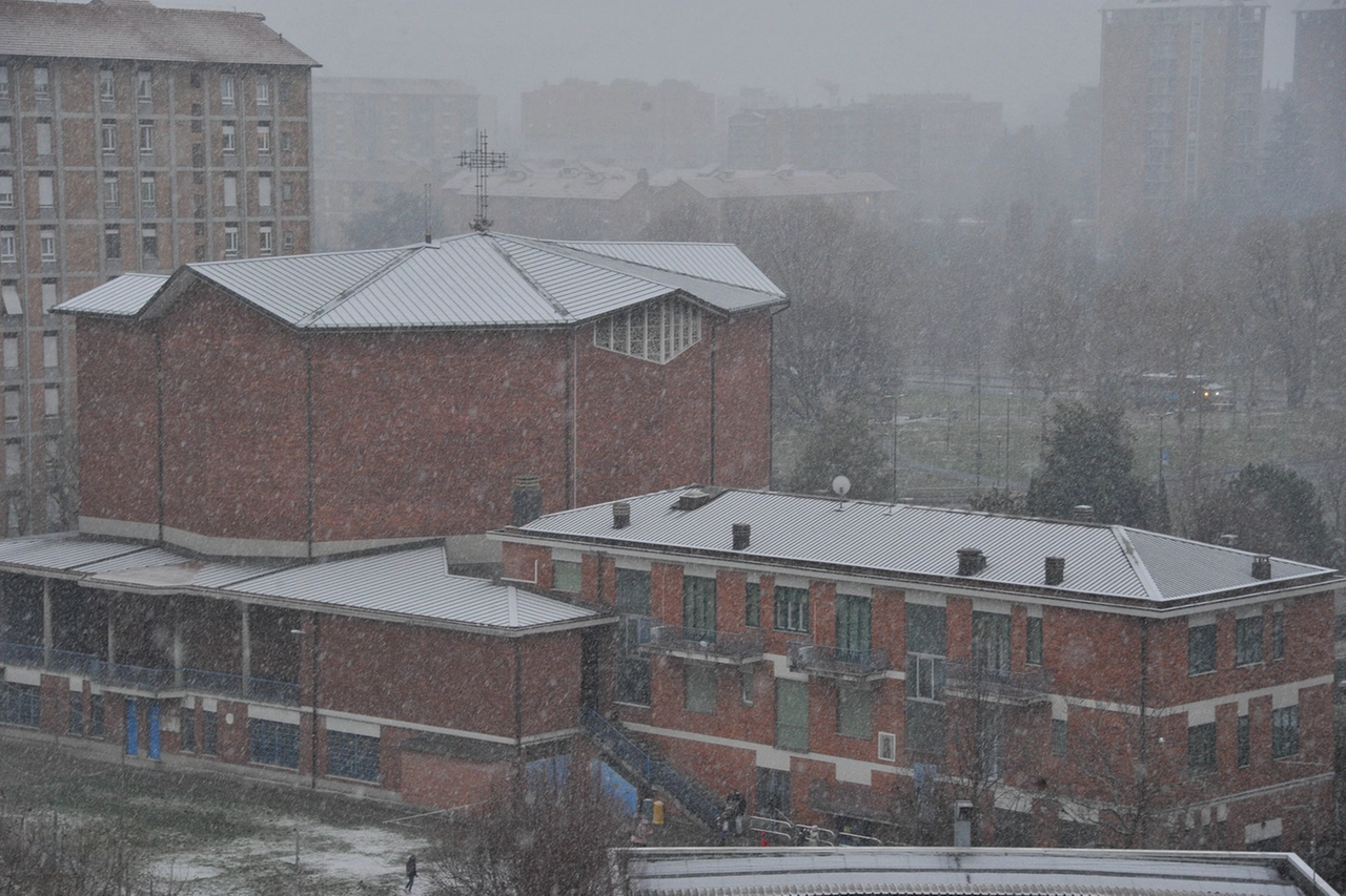 NEVE_27394461_164411