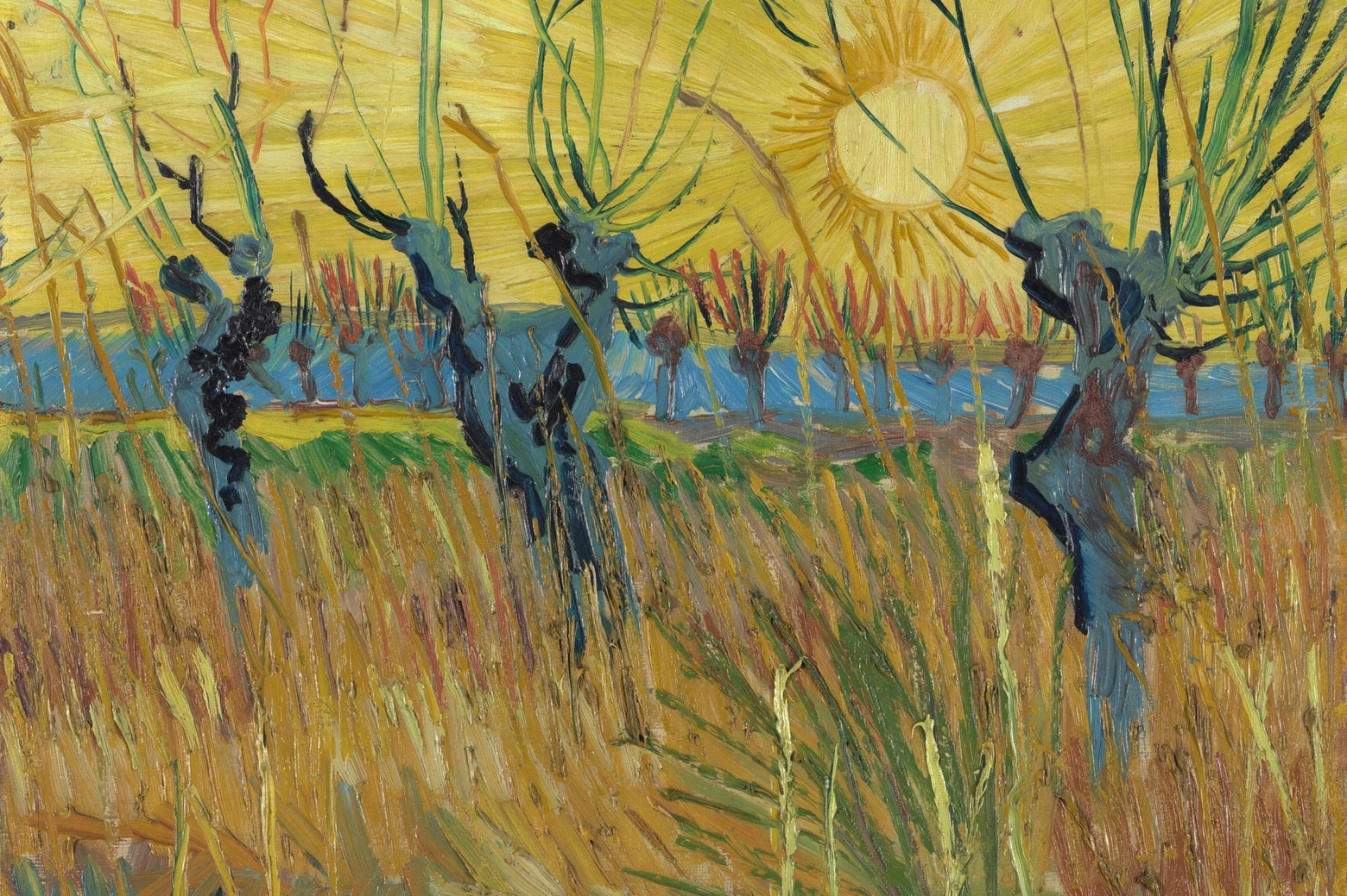 Una delle opere di Vincent van Gogh esposte al  Mudec