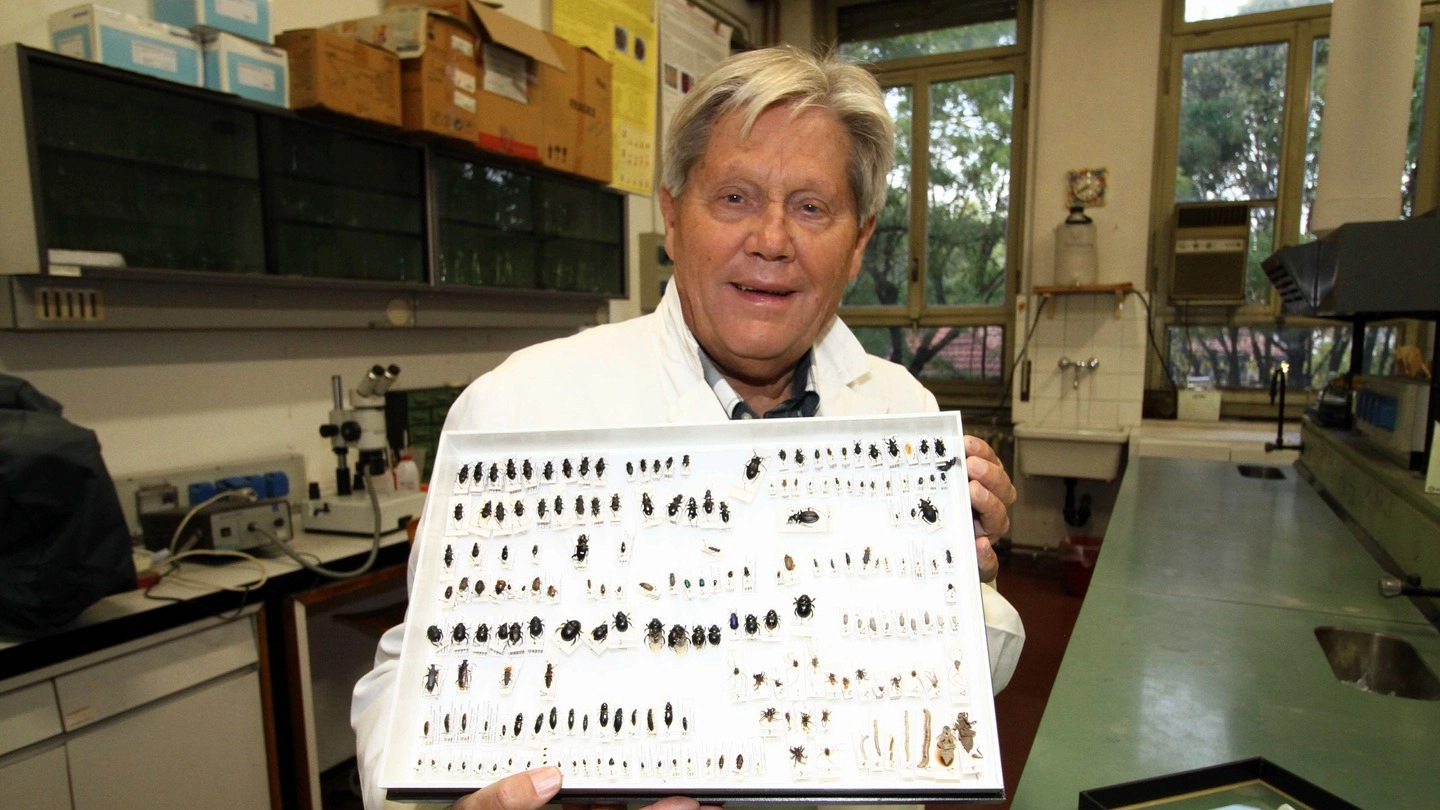 Carlo Lozzia, professore di Entomologia generale e applicata (Newpress)