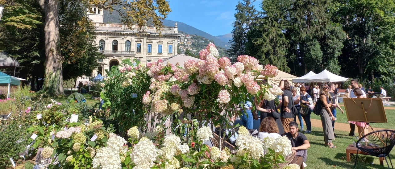 Cernobbio: lo spettacolo floreale di Orticolario in scena fino a domenica