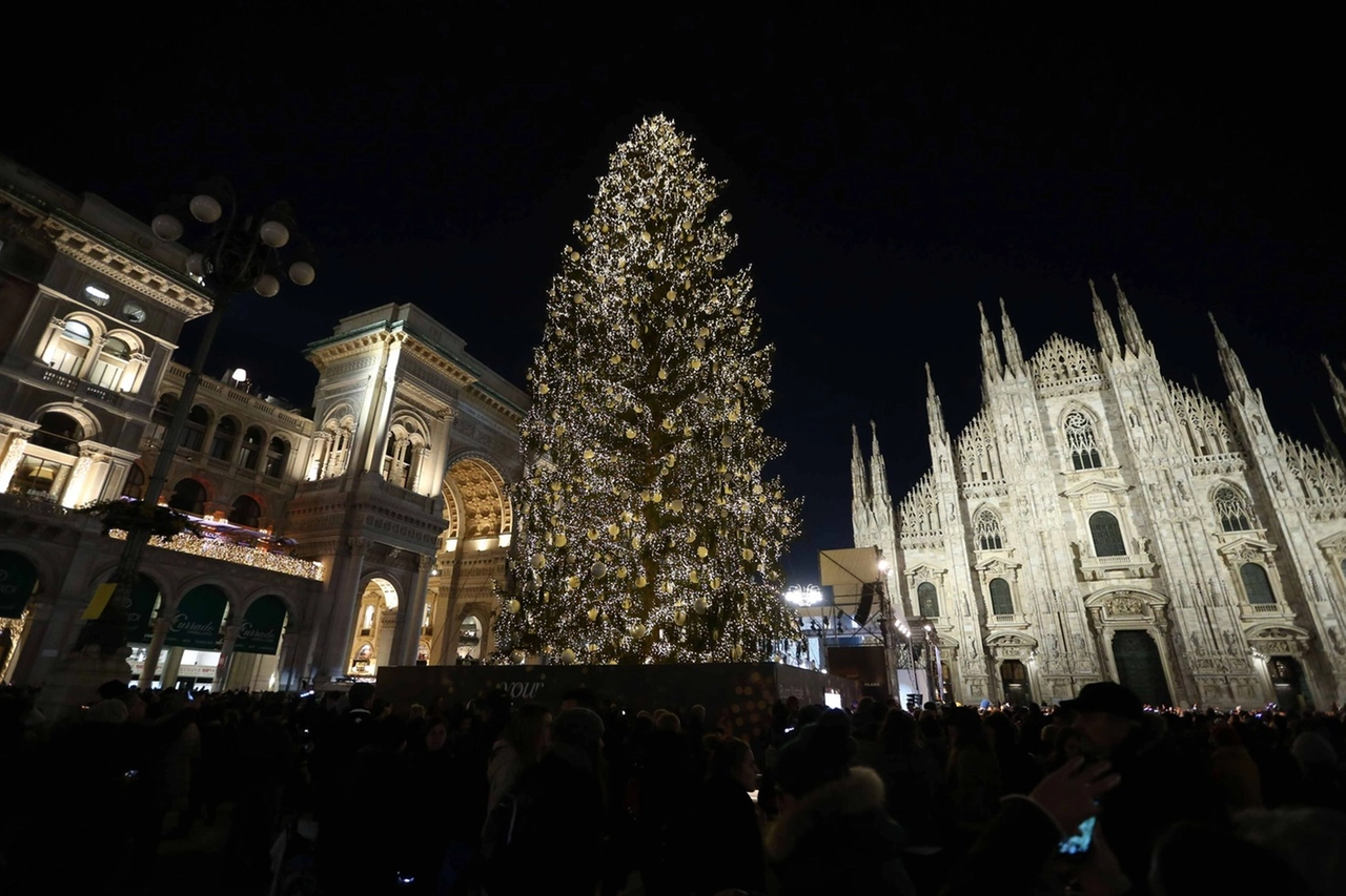 ALBERO_27304878_183409