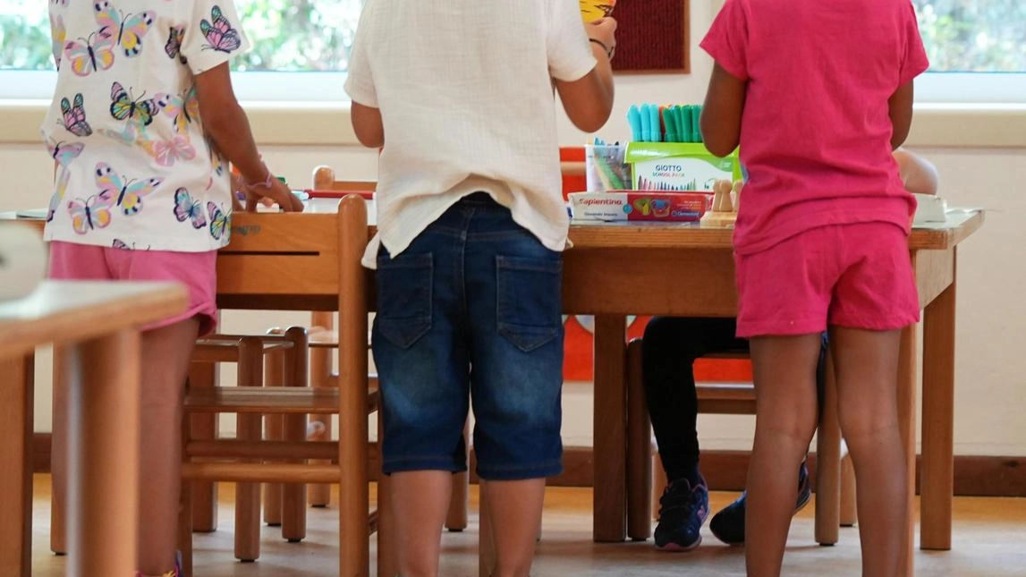Il calo demografico. Nelle scuole lombardein soli quattro annisparite 1.800 classi Il calo demografico. Nelle scuole lombardein soli quattro annisparite 1.800 classi