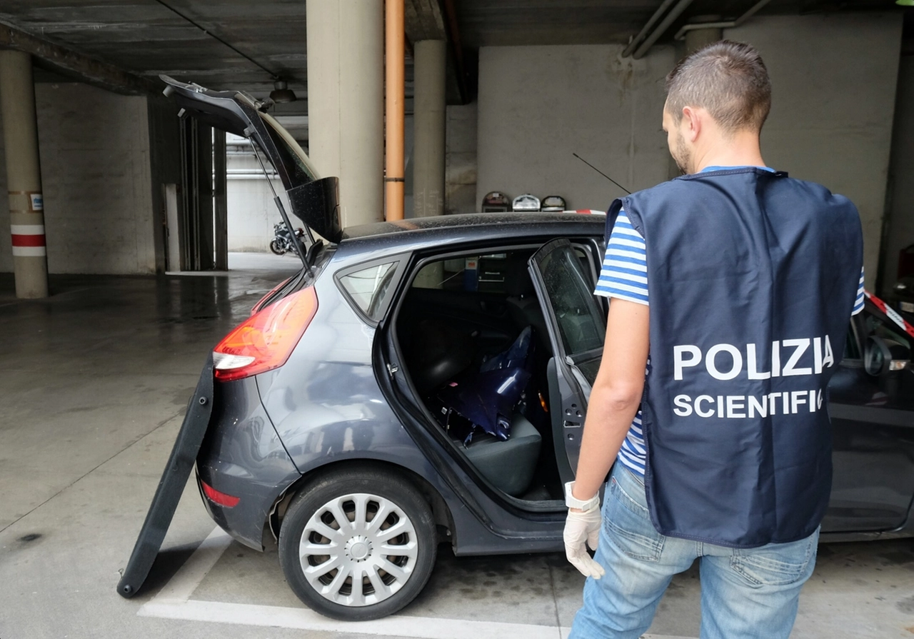 immagine di sfondo 5