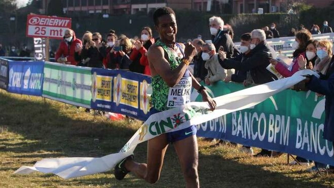 L'ultima vittoria di un italiano alla campestre è quello di Alberto Cova nel 1986