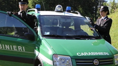 A intervenire nella sede dell’ente sono stati i carabinieri forestali