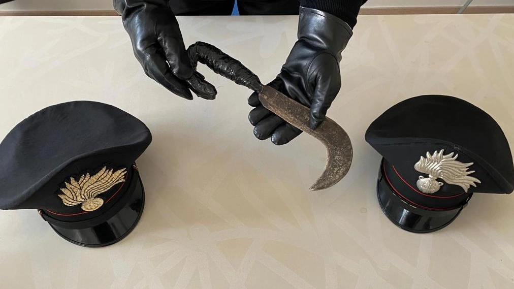 La roncola sequestrata dai carabinieri (Archivio) La roncola sequestrata dai carabinieri (Archivio)