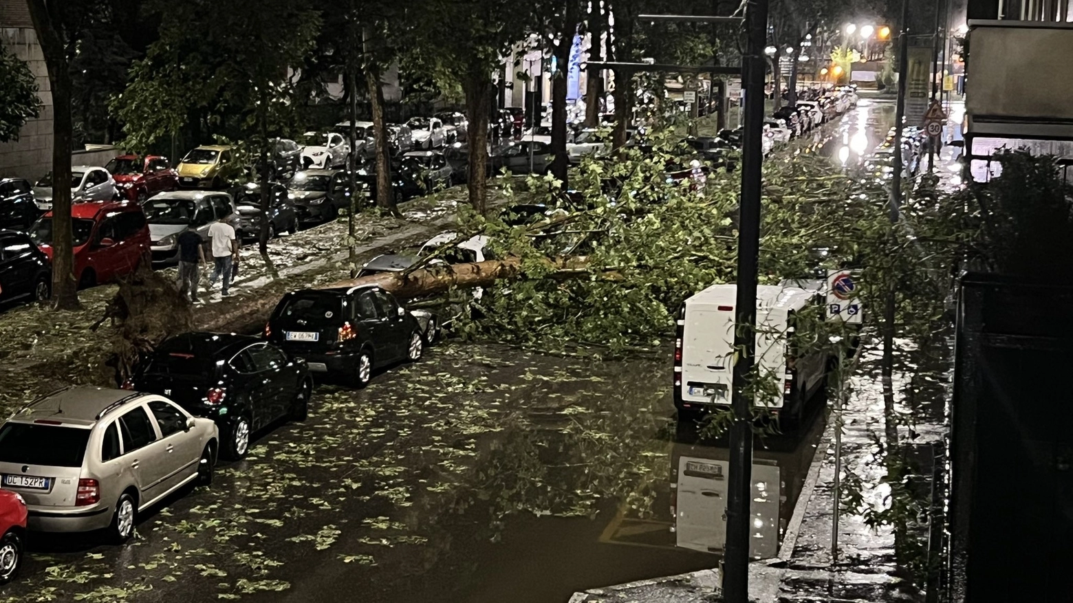 Ho lasciato la Sicilia con 51 gradi e incendi vari per rientrare a lavoro in Lombardia; sono stata svegliata da un temporale misto a grandine e da tromba d’aria fuori scala. Alberi sradicati, pezzi di marmo volati chissà da quale balcone sotto casa.