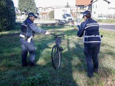immagine articolo