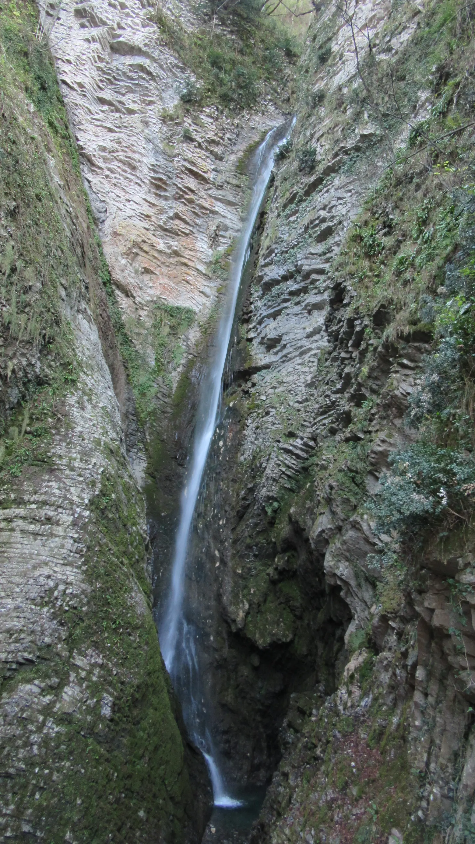 immagine di sfondo 4