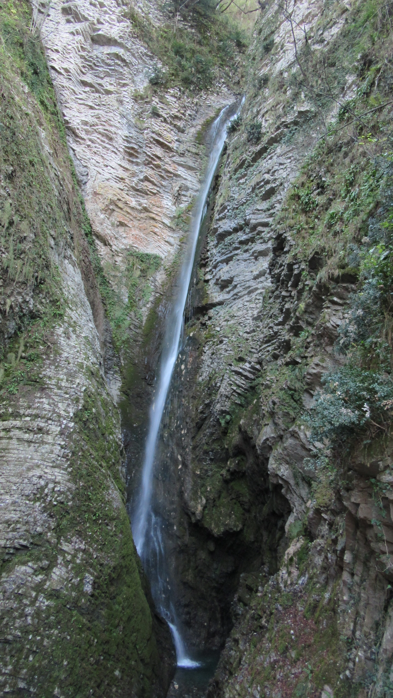 immagine di sfondo 4