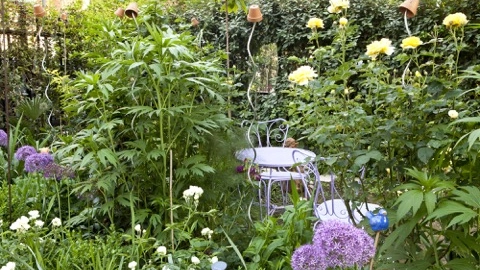 Piccolo giardino privato