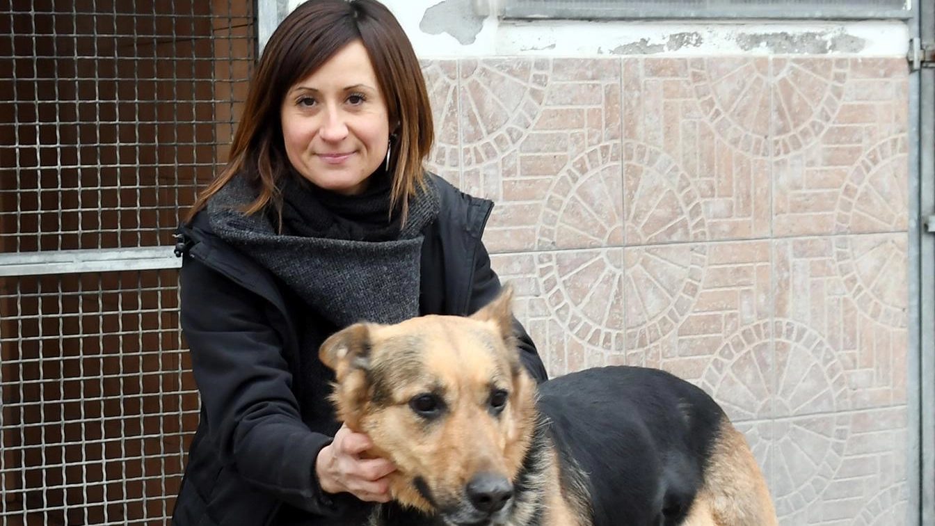 Cani, servono nuove regole: "Troppi comprano molossi e poi se ne sbarazzano"