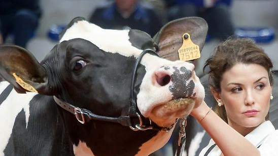 Ecco la fiera delle meraviglie Animali, bolidi, fuochi e cultura Appuntamenti per tutti i gusti Ecco la fiera delle meraviglie Animali, bolidi, fuochi e cultura Appuntamenti per tutti i gusti