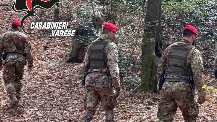 Spaccio nei boschi, in azione i corpi speciali dei carabinieri