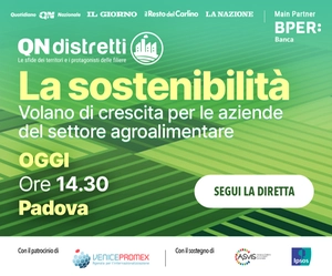 Autopromo