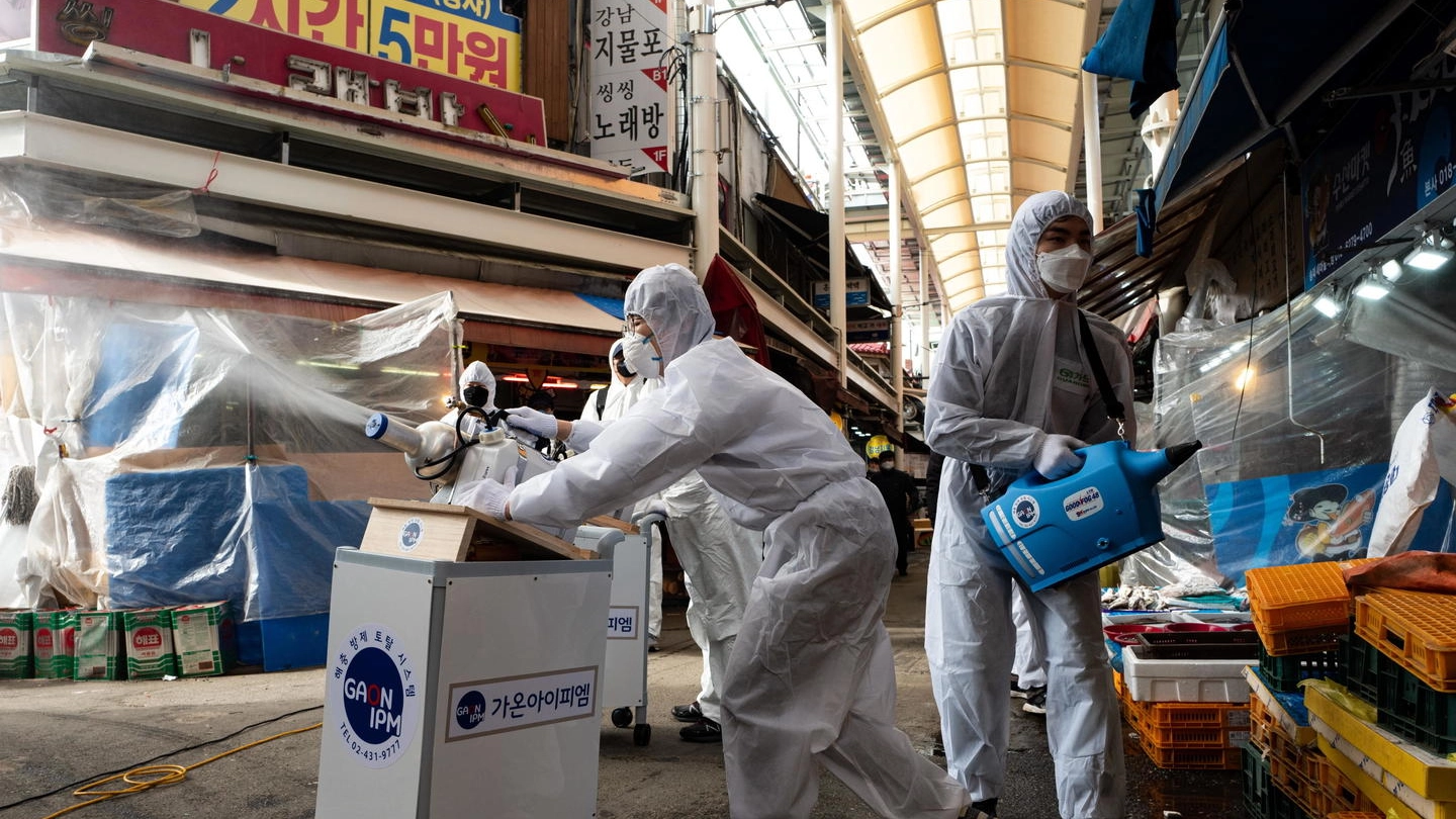 Coronavirus, operazione di disinfezione in Corea del Sud (Ansa)