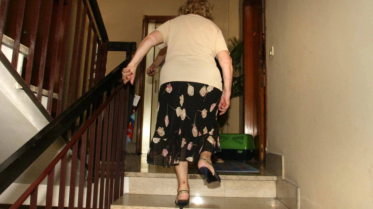 La truffa ai danni dell'anziana è stata sventata grazie all'intervento di un familiare della donna La truffa ai danni dell'anziana è stata sventata grazie all'intervento di un familiare della donna