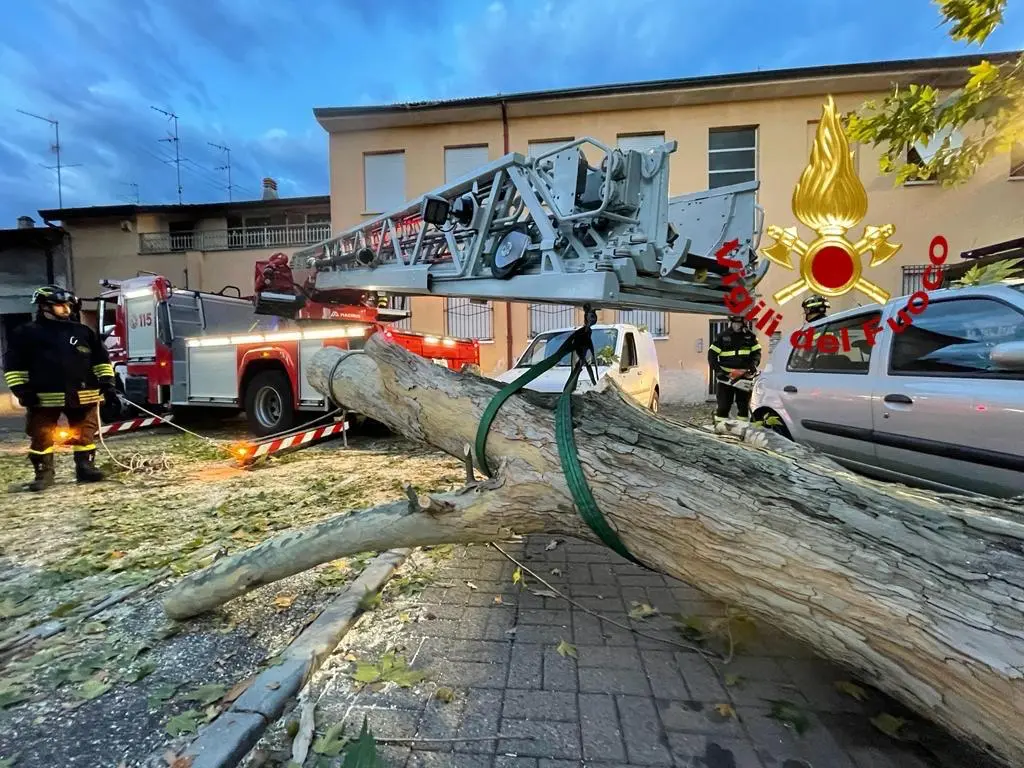 Rescaldina, forte vento: alberi sulle auto, grondaie divelte e danni ai tetti