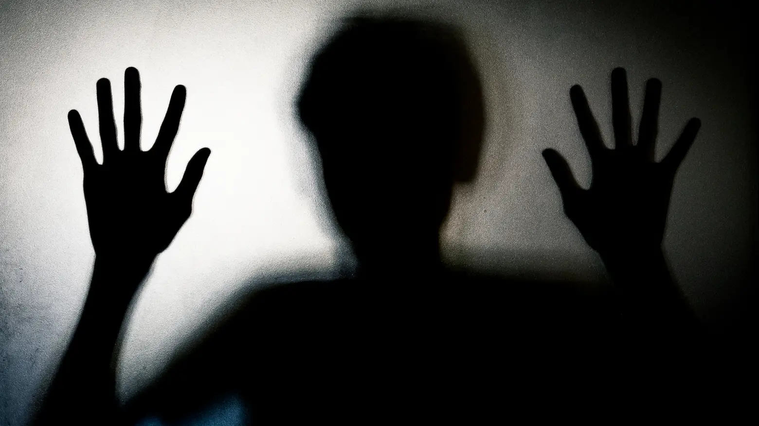 Tentata violenza in centro a Pavia Tentata violenza in centro a Pavia