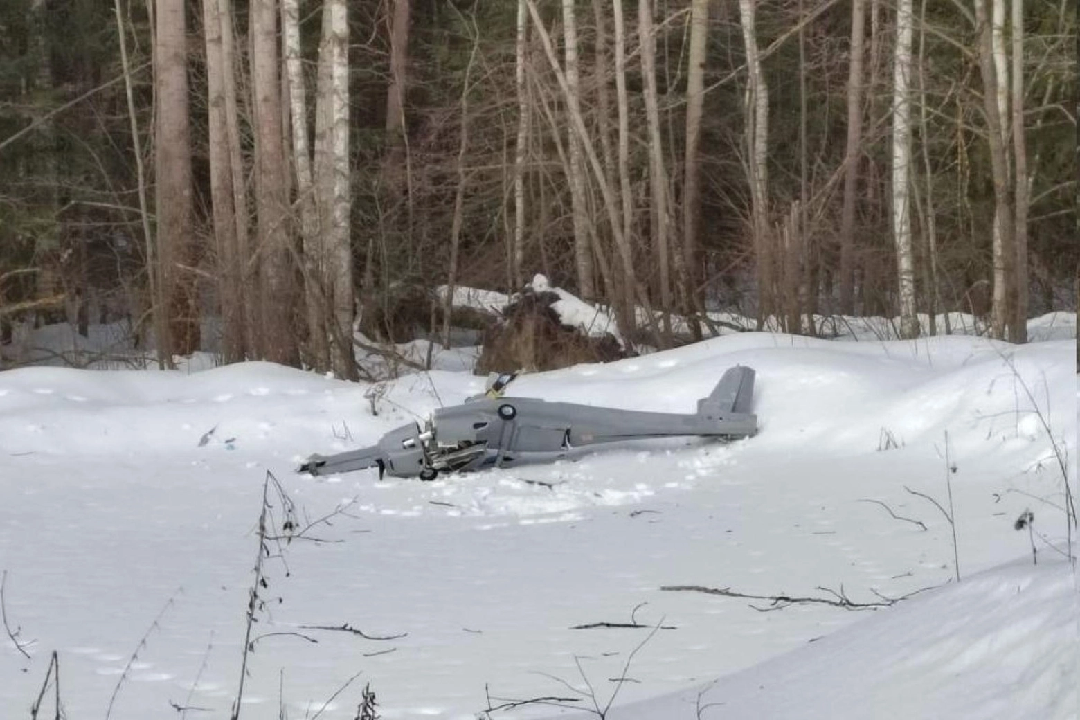 La foto del drone che sarebbe "precipitato" a 100 chilometri da Mosca