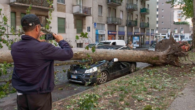 Danni da maltempo sulla città di Milano: un albero crollato su un’auto parcheggiata in via Lorenteggio