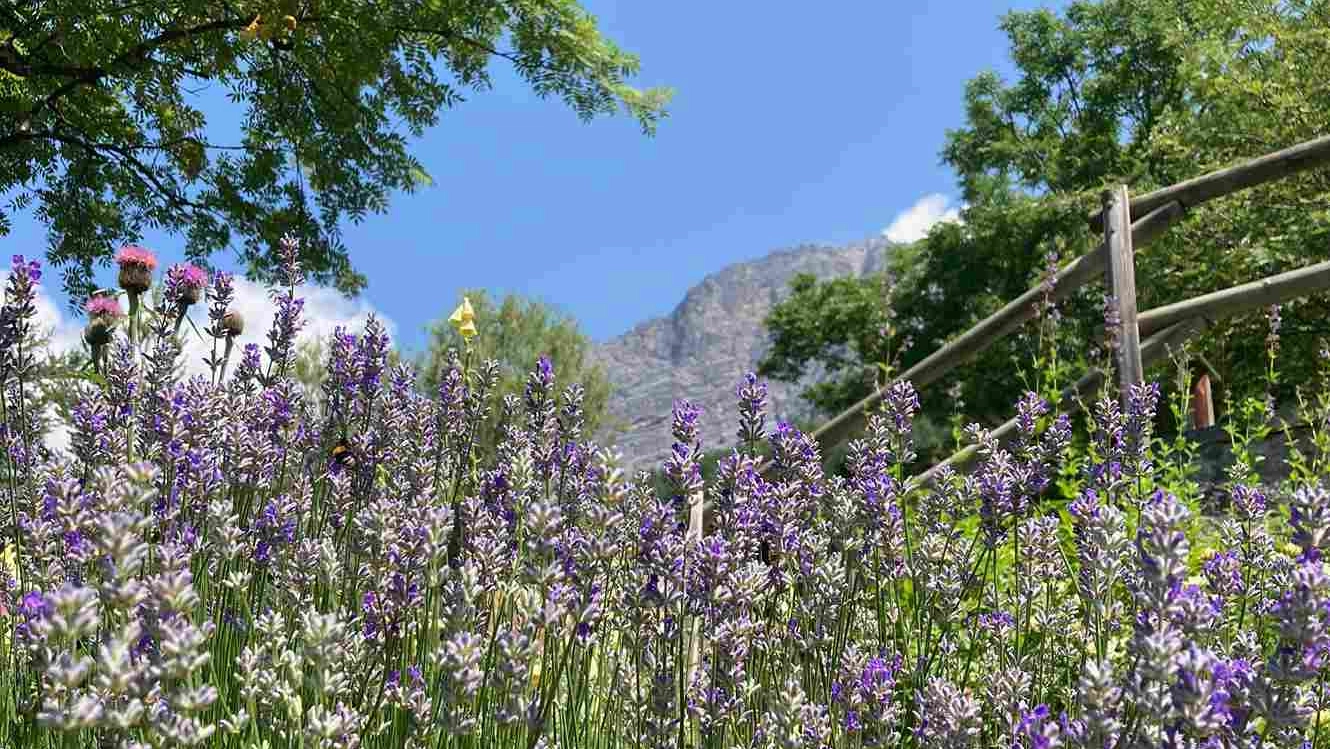Giardino botanico alpino “Rezia” di Bormio