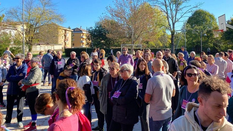 Fare squadra contro la violenza. Rete viola spazia su 6 Comuni Fare squadra contro la violenza. Rete viola spazia su 6 Comuni