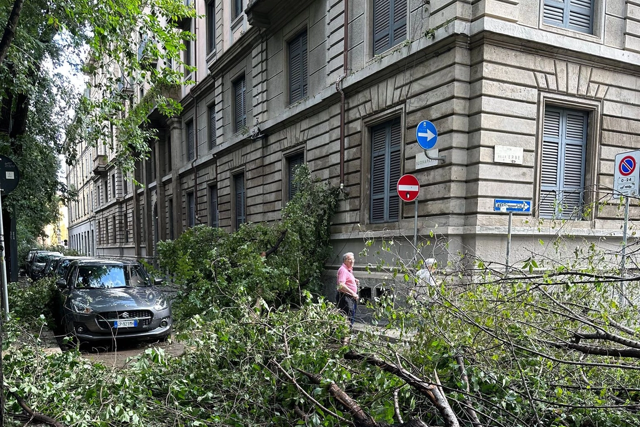 Una strada resa inagibile dagli alberi caduti