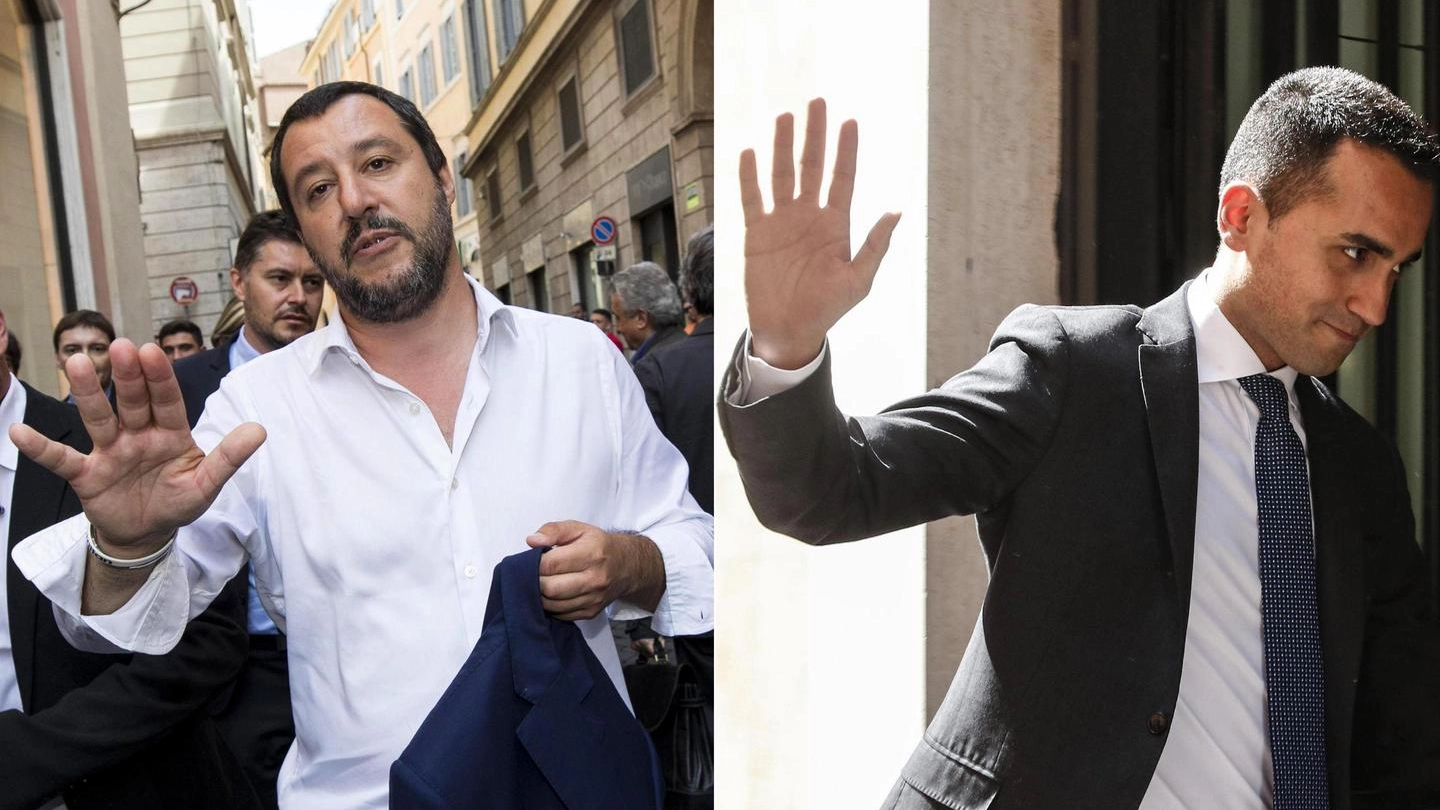 Matteo Salvini e Luigi Di Maio (Ansa)