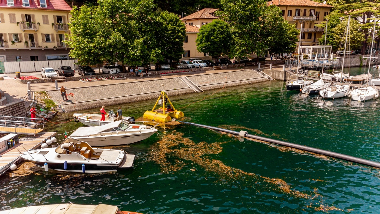 immagine di sfondo 9