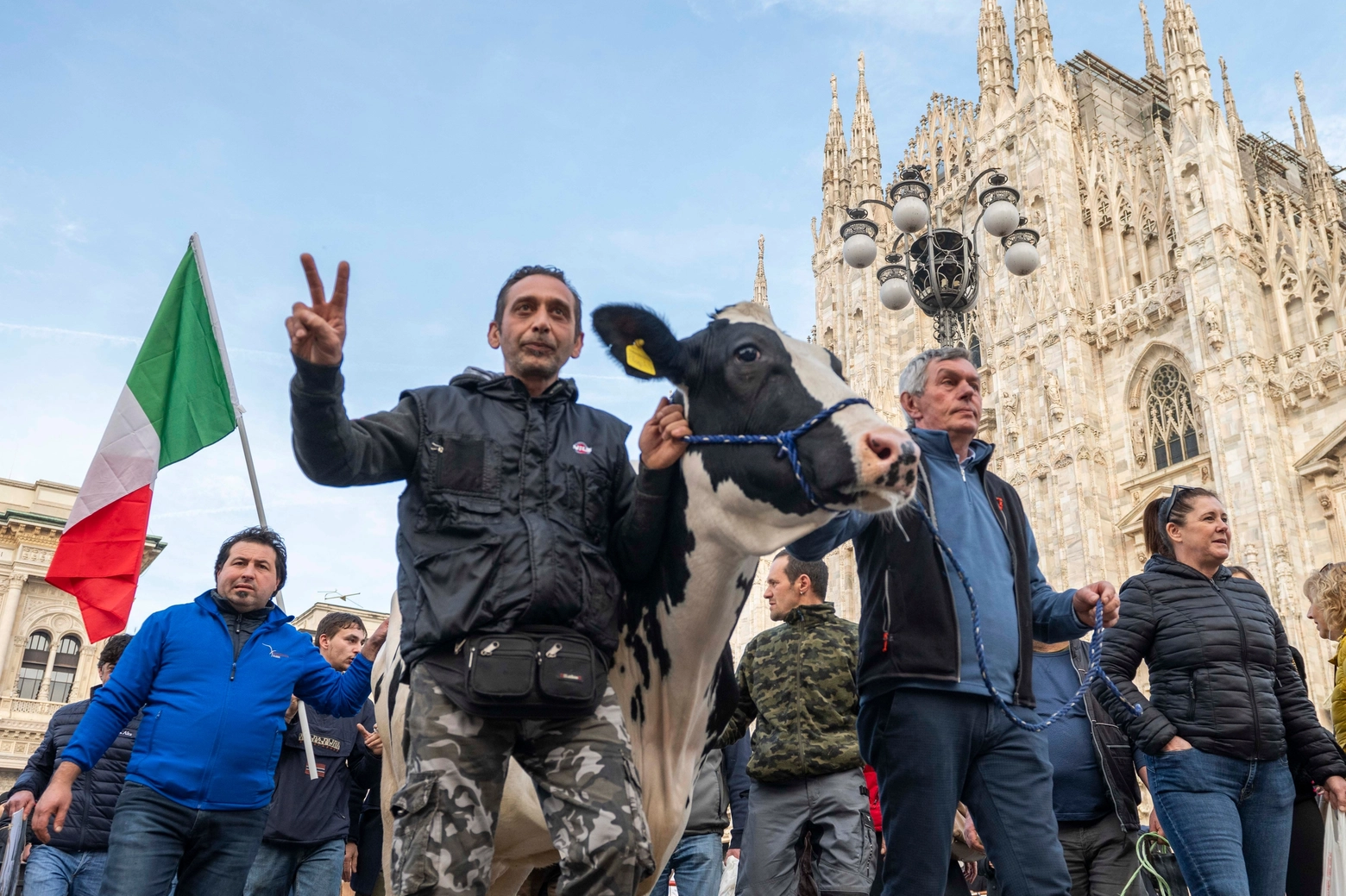 Milano, la protesta agricoltori con mucca e vitellino in piazza Del Duomo (Foto Andrea Fasani)