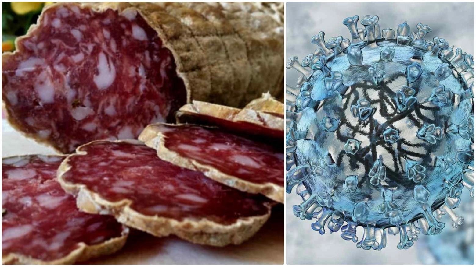 Salame di Varzi a rischio in caso di diffusione della peste suina