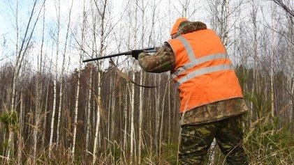 Spara vicino alle case. Cacciatore disarmato Spara vicino alle case. Cacciatore disarmato