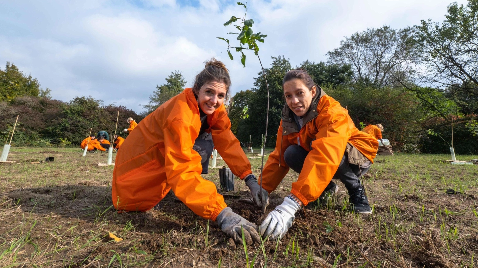 Il verde che manca. Aumenta la spesa per la forestazione ma non è abbastanza Il verde che manca. Aumenta la spesa per la forestazione ma non è abbastanza