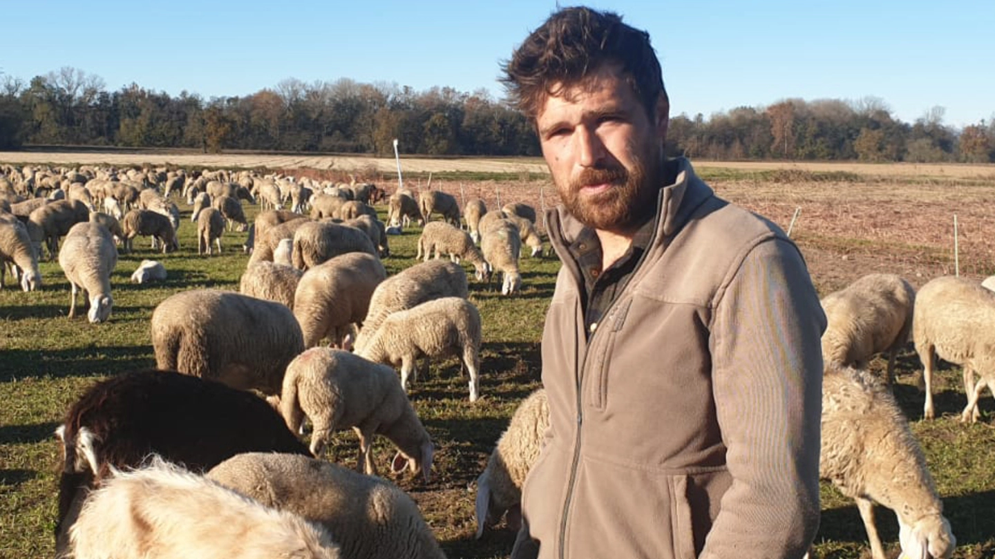 Morgan con alcune delle sue 900 pecore