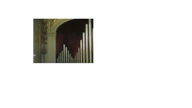 Vox Organi 2016: ecco il programma