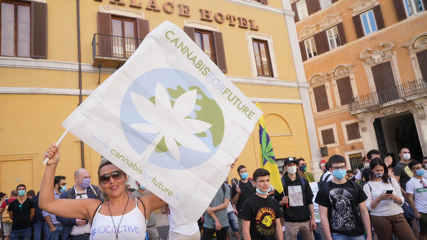 Una manifestazione in piazza dei promotori del referendum sulla cannabis