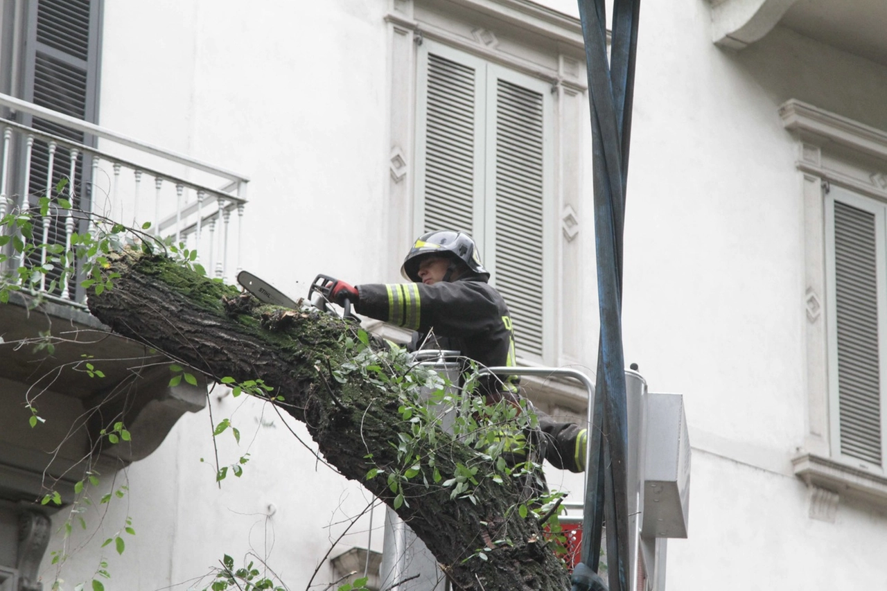 immagine di sfondo 37