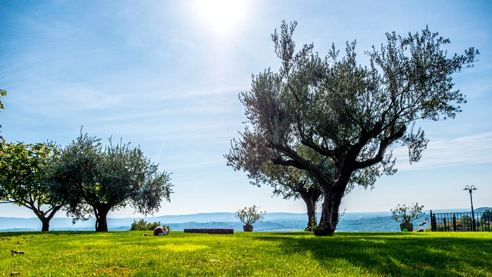 Un fine settimana all’insegna del bel tempo. Le temperature minime e massime provincia per provincia