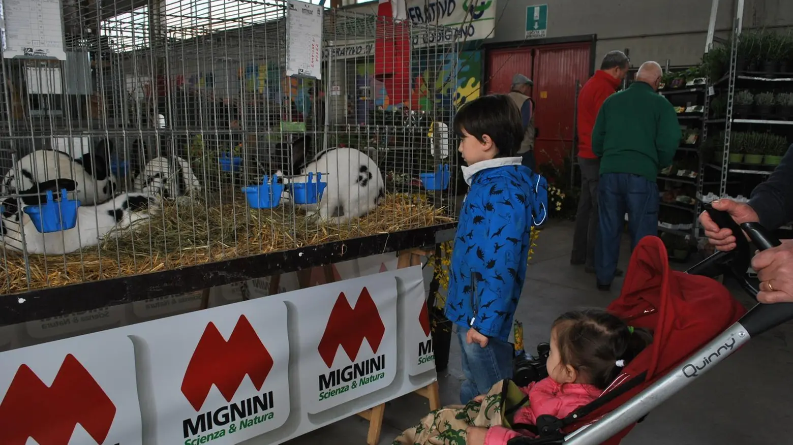 La tradizione è salva San Giuseppe coi volontari La tradizione è salva San Giuseppe coi volontari