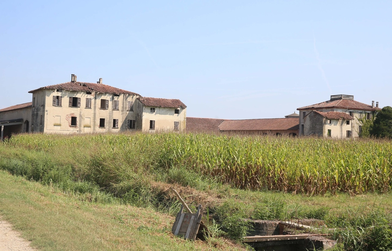 immagine di sfondo 1