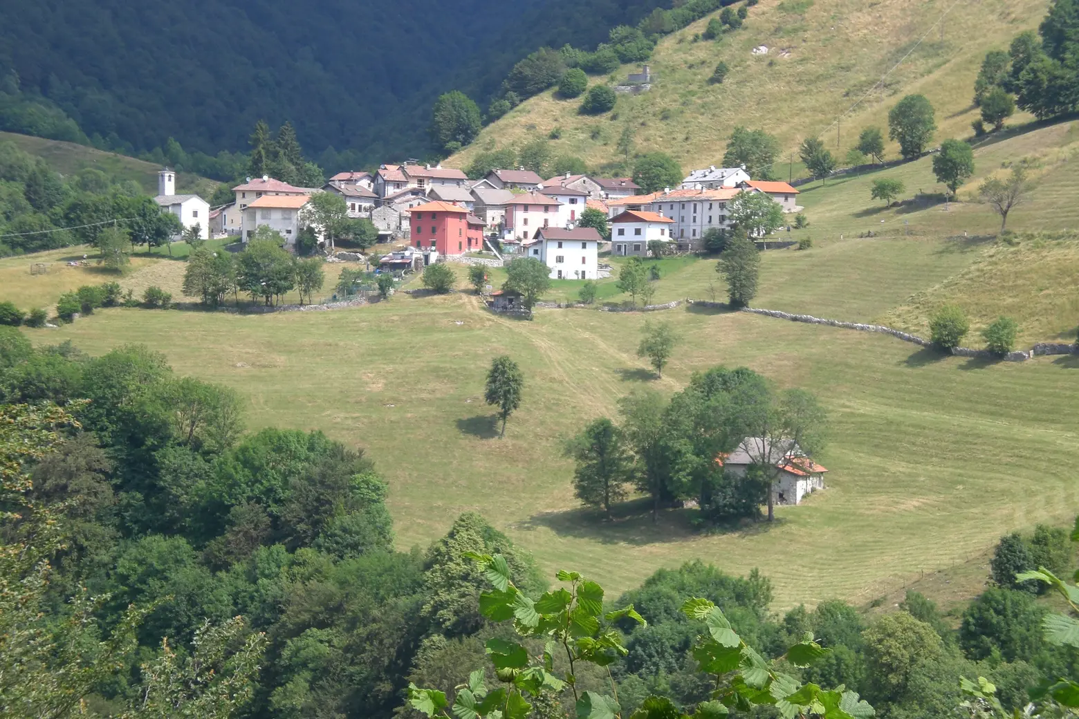 immagine di sfondo 5