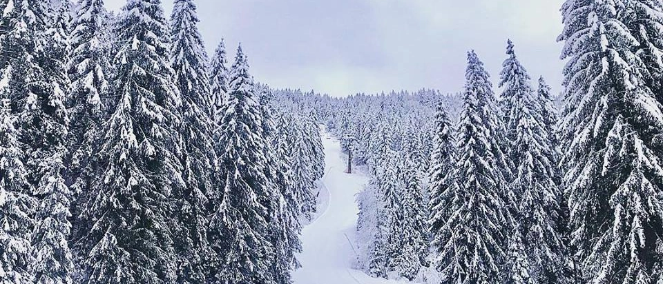 L’80% del comprensorio della stazione sciistica è pronto a riaccogliere gli appassionati delle piste. Nei prossimi giorni sarà il turno di Maniva, mentre Ponte di Legno – Tonale è già attiva